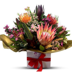 Native Wild Bunch Box