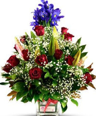 Zoha in Vase