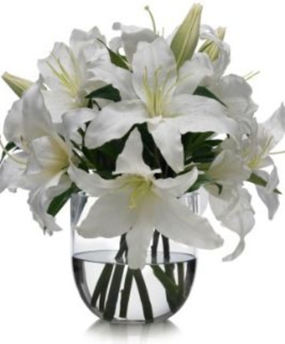 White Lilies in Vase