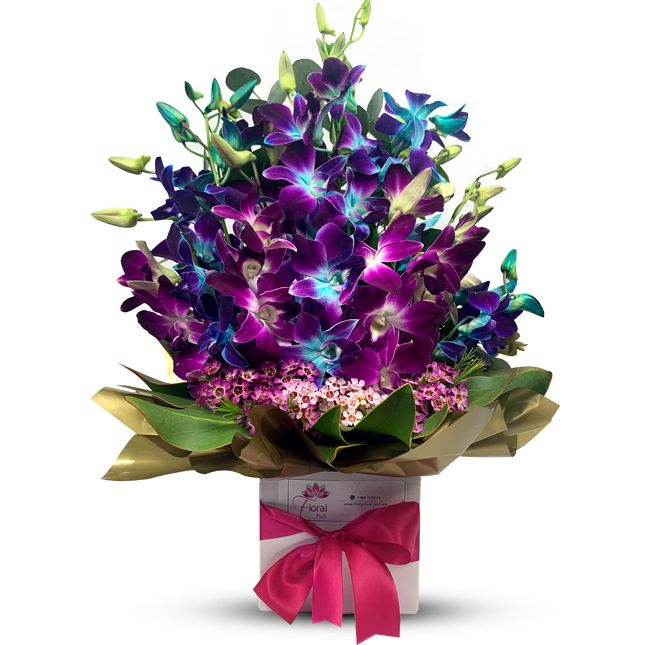 Orchids Flowers Delivery Melbourne