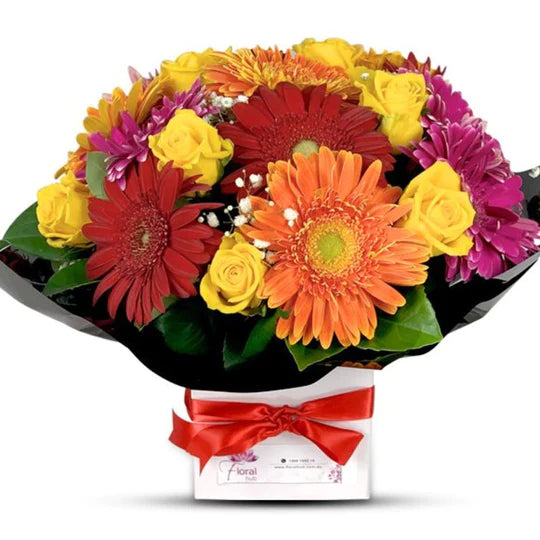 Gerberas Flowers we sell at Floralhub