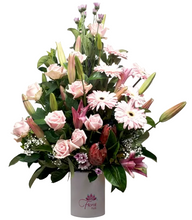 Load image into Gallery viewer, Maria in Vase
