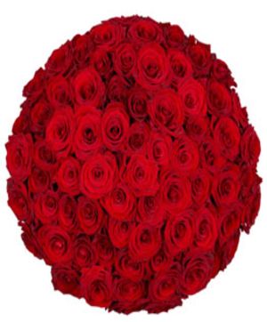 55 Roses Bouquet Flowers Arrangement โ FloralHub