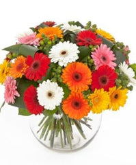 Gerberas in Vase